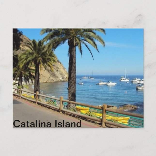 Catalina Island Postkarte (Vorderseite)