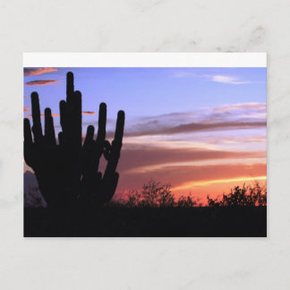 Catalina Mountains Sunset Postkarte