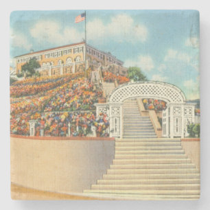 Catalina Steinuntersetzer