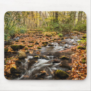 Cataloochee Creek NC Große Smoky-Berge Mousepad