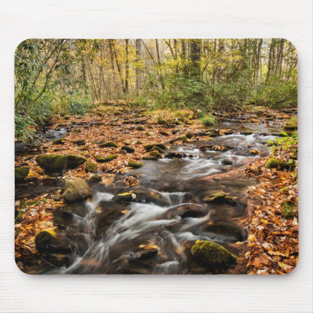 Cataloochee Creek NC Große Smoky-Berge Mousepad (Vorne)