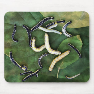 Catalpa Worms Catfish Bait Fotografie Mousepad