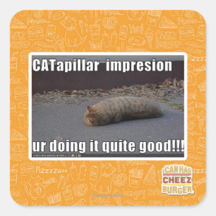 CATapillar Quadratischer Aufkleber