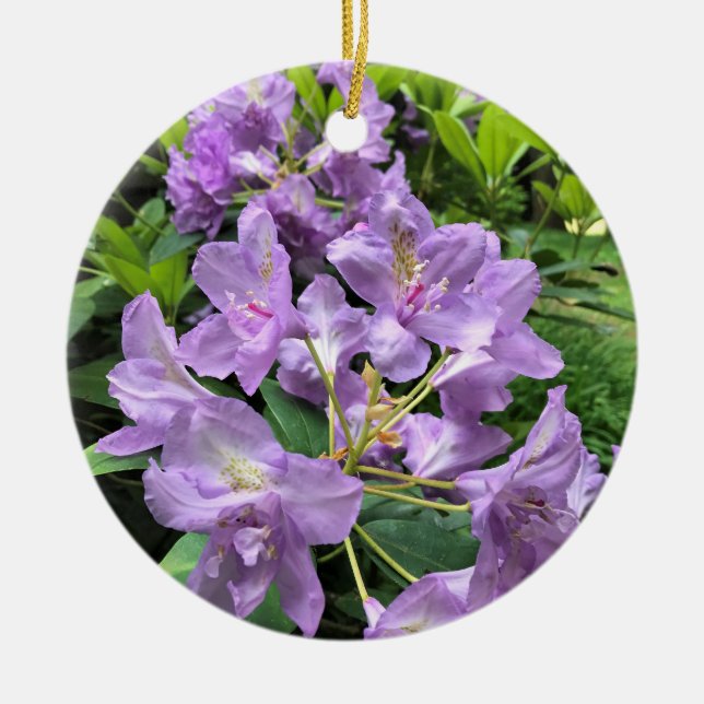 Catawbiense Boursault Rhododendrons, Oregon Keramik Ornament (Vorne)