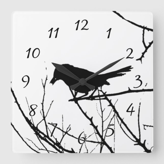 Catbird Silhouette Love Bird Watching Quadratische Wanduhr (Vorderseite)
