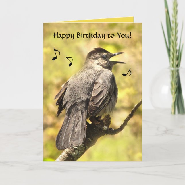 Catbird Sings Happy Birthday Card Karte (Vorderseite)