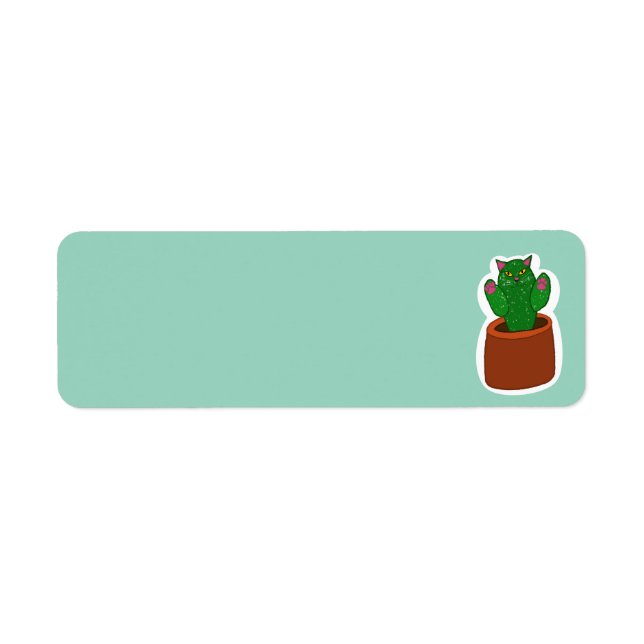 Catcus (Vorne)