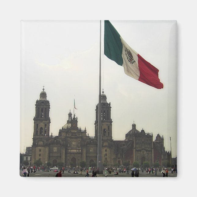 Catedral en el Zocalo del DF con la Bandera Magnet (Vorne)