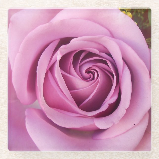 Catejne Glasuntersetzer (Vorderseite)