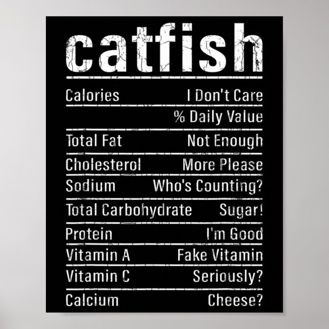 Catfish Fakten Funny Fishing Lover Catfish Graph Poster (Vorne)