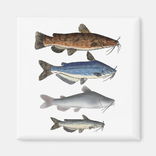 Catfish Group Magnet