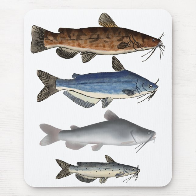 Catfish Group Mousepad (Vorne)