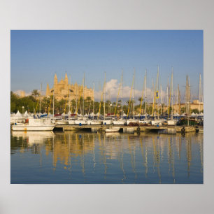 Cathedral and marina, Palma, Mallorca, Spain Poster
