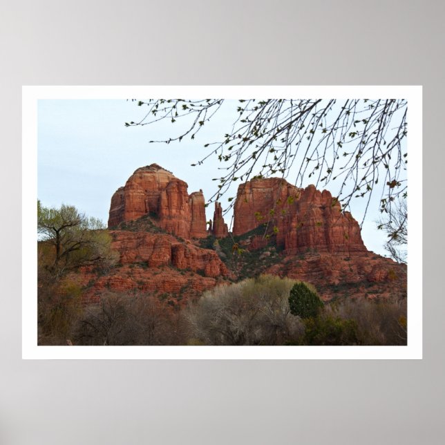 Cathedral Rock Poster (Vorne)