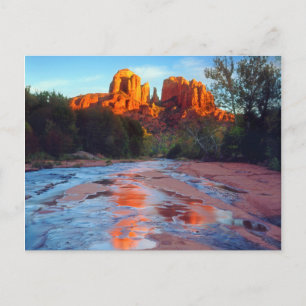Cathedral Rock spiegelt sich bei Sonnenuntergang i Postkarte