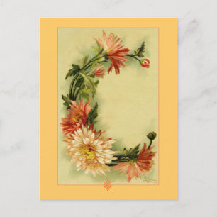 Catherine Klein Blume Alphabet C Chrysanthemen Postkarte