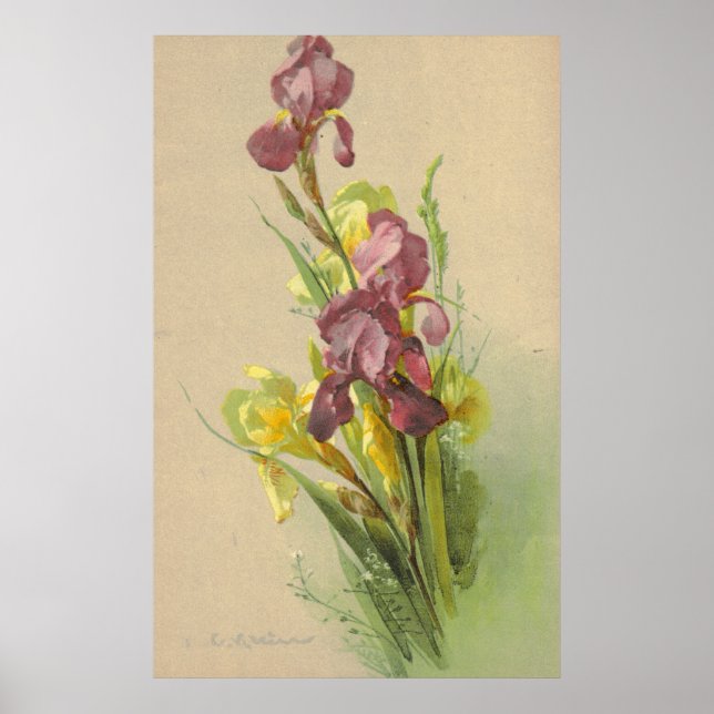 Catherine Klein Vintag Litho Reproduction Leinwand Poster (Vorne)