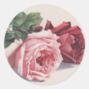 Catherine Kleins rosa und rote Rosen Runder Aufkleber