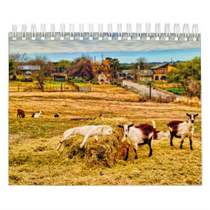 Cathy P. Jones 2019 Kalender