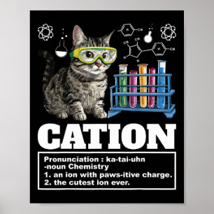 Cation Chemistry Spaß Science Teacher Cat Pun Cat  Poster