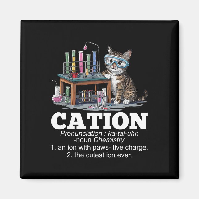 Cation Chemistry Spaß Science Teacher Cat Pun Fun Magnet (Vorne)