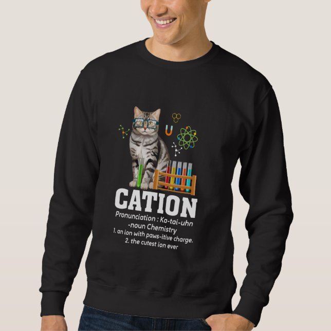 Cation Science Lover Teacher Nerd Funny Cat Chemis Sweatshirt (Vorderseite)