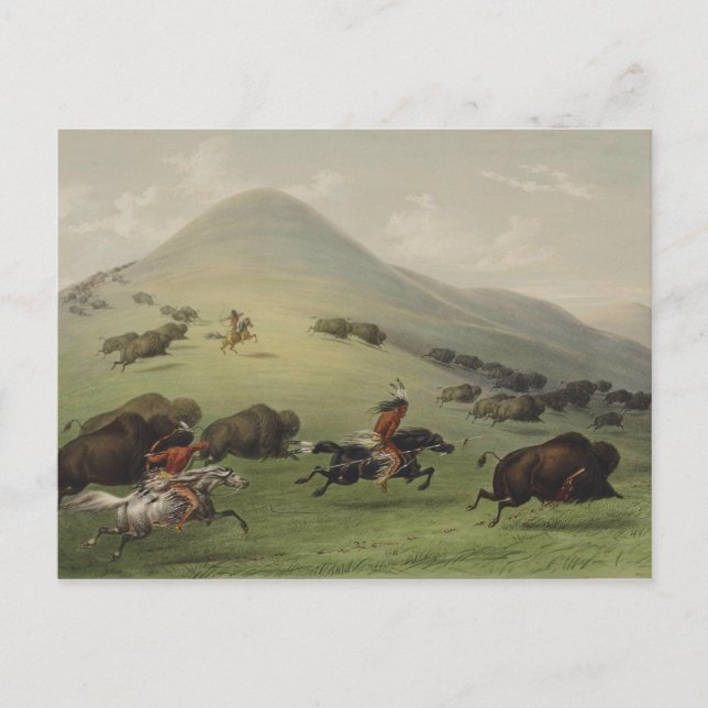 Catlin Native American Art Postkarte (Vorderseite)