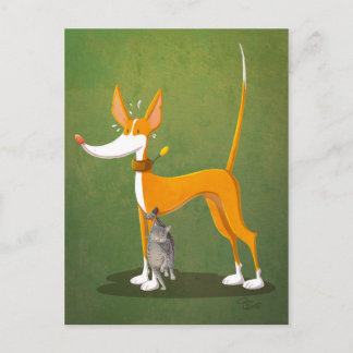 Catlover Postkarte