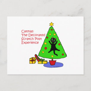 Catmas Experience Postkarte