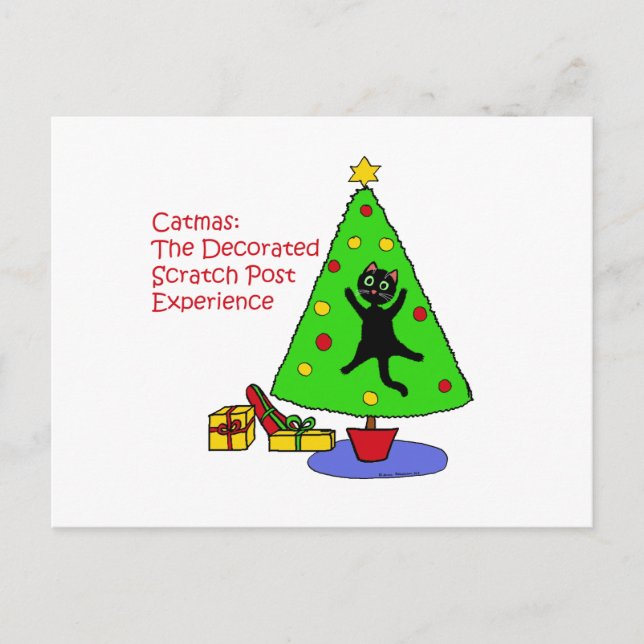 Catmas Experience Postkarte (Vorderseite)