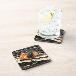 Catnap Cuties Getränkeuntersetzer