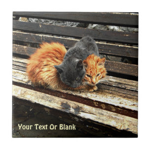 Catnap-Süssen Fliese