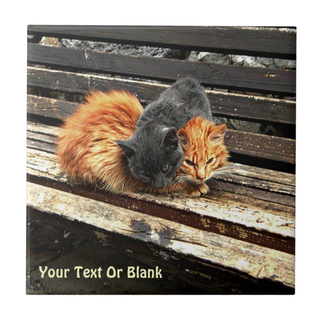 Catnap-Süssen Fliese (Vorderseite)