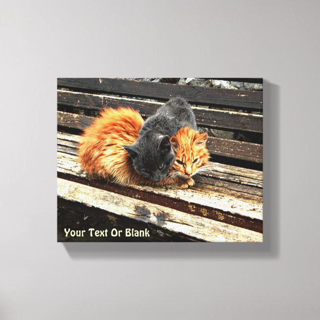 Catnap-Süssen Leinwanddruck (Vorderseite)