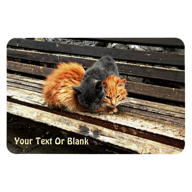 Catnap-Süssen Magnet (Horizontal)