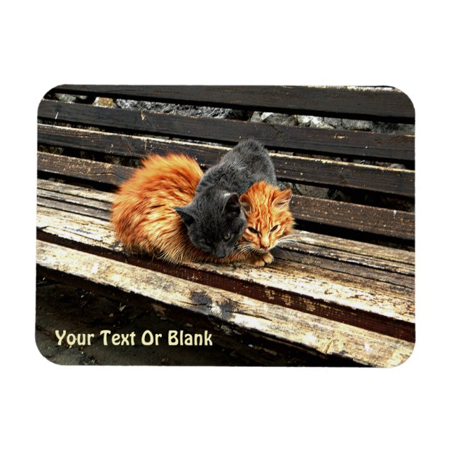 Catnap-Süssen Magnet (Horizontal)