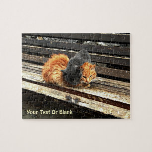 Catnap-Süssen Puzzle