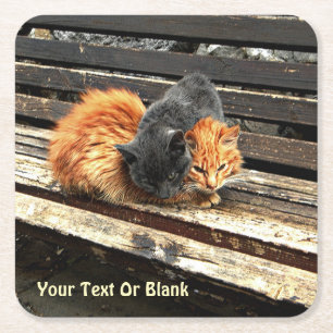 Catnap-Süssen Rechteckiger Pappuntersetzer