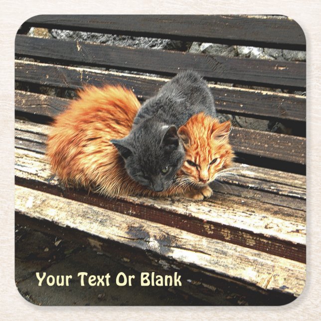 Catnap-Süssen Rechteckiger Pappuntersetzer (Vorderseite)