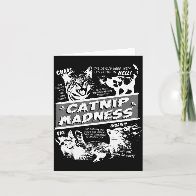 Catnip Madness Cute Kitten Funny Cat Pet Humor  Karte (Vorderseite)