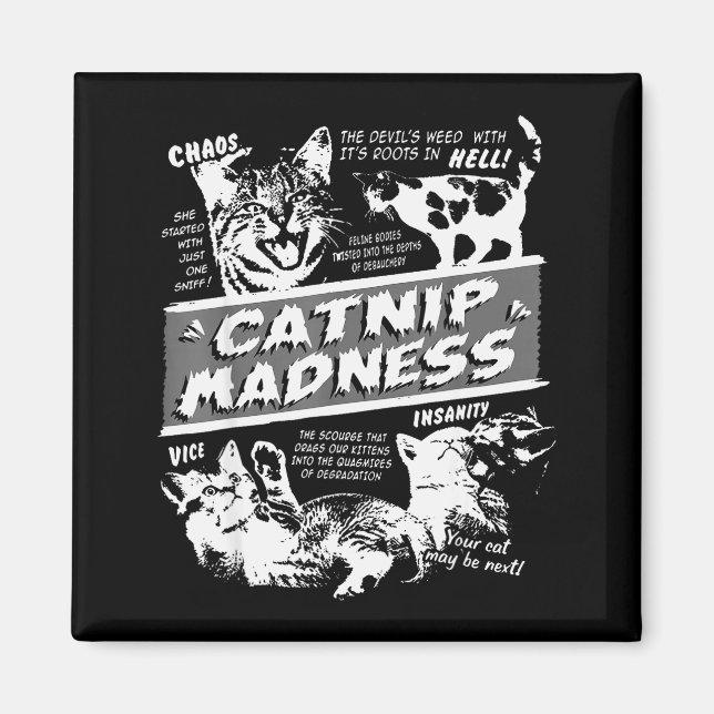 Catnip Madness Cute Kitten Funny Cat Pet Humor  Magnet (Vorne)