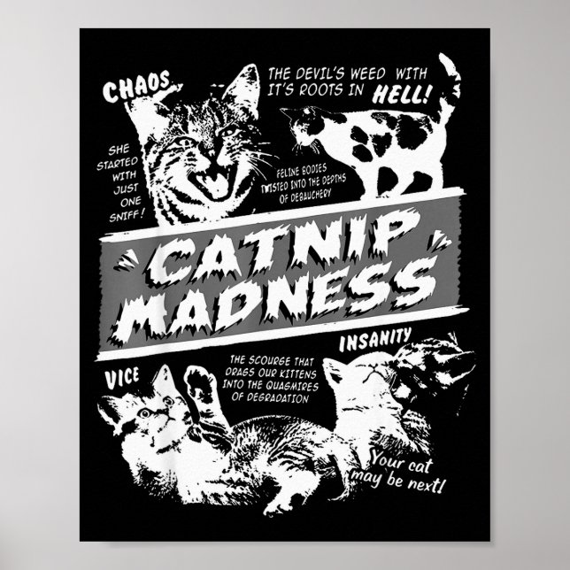 Catnip Madness Cute Kitten Funny Cat Pet Humor  Poster (Vorne)