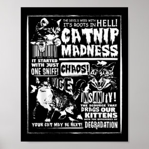 Catnip Madness Niedlich Kitten Katzengeschenk für  Poster