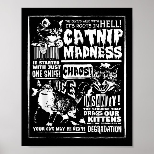 Catnip Madness Niedlich Kitten Katzengeschenk für  Poster (Vorne)