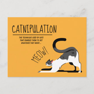Catnipulation Cat Lovers Meet Design Postkarte