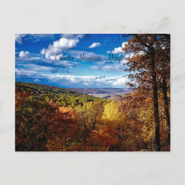 Catoctin Mountains, Maryland Postkarte (Vorderseite)