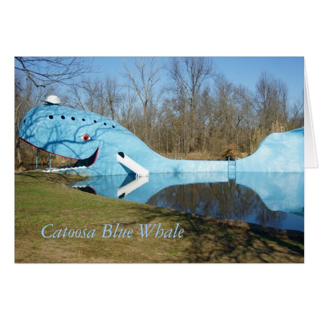 Catoosa Blauwal (Vorderseite (Horizontal))