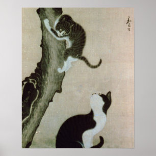 Cats, 17th century poster
