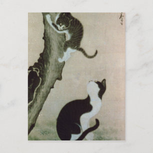 Cats, 17th century postkarte