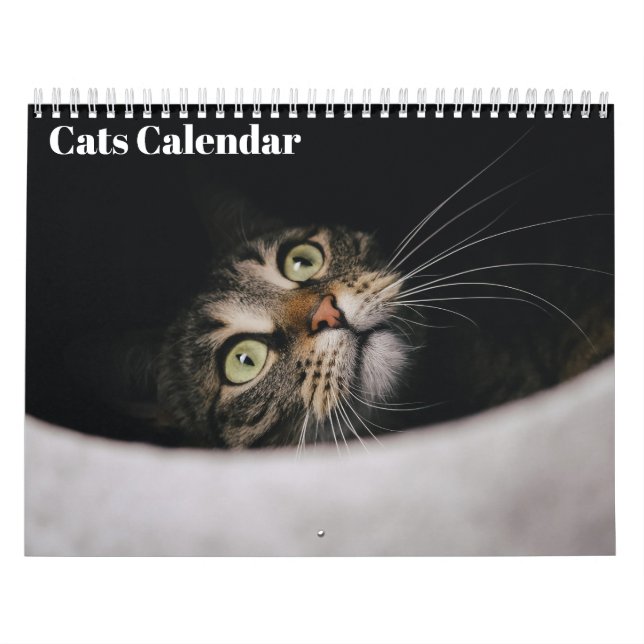 Cats 2026 Calendar Kalender (Titelbild)